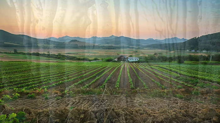 개인회생법무사추천