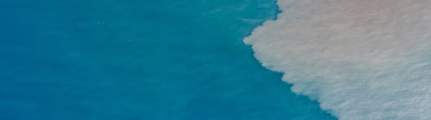 법무법인 서앤율